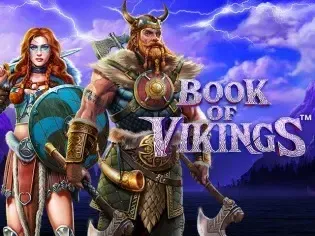 Book of Vikings screenshot